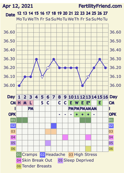 Entering the TWW with BBT charts