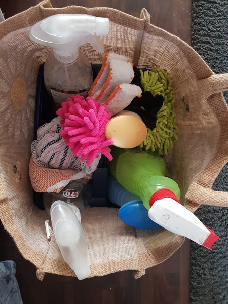 The Hoarders Anonymous #5