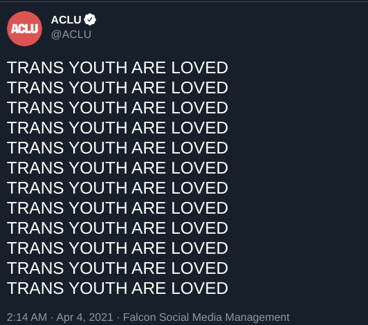 Arkansas bans puberty blockers, hormone treatments and surgery for under 18s