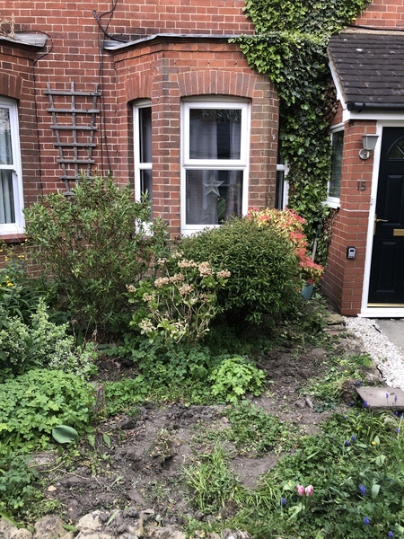 Help me design my front garden