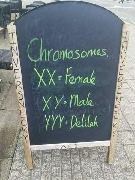 Well It Made Me Laugh