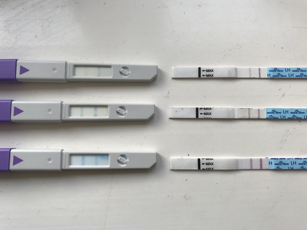 Ovulation Strips