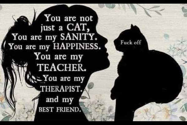 Westminstenders: Sleaze. The Return.