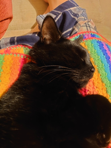 Knit, Crochet and Natter 4 - Yarning into Spring