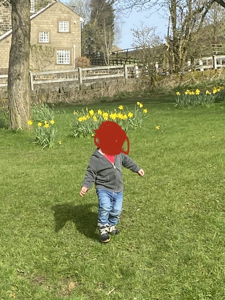 Worried my 2.5 year old is overweight?
