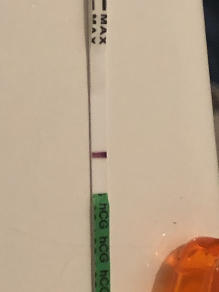 TTC after miscarriage