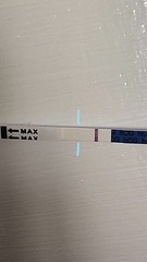 Am I pregnant? Freedom test strips