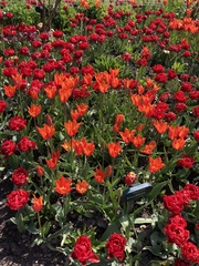 Week 3 - Leaving Lockdown Bootcamp