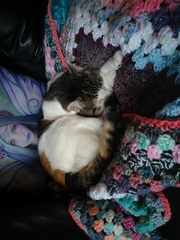 Knit, Crochet and Natter 4 - Yarning into Spring