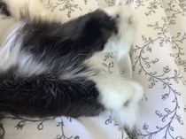 Toe tufts