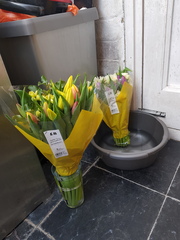 Aren't these stunning?
