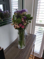 Bloom and wild sorry looking flowers