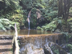 Has anyone been to The Azores,