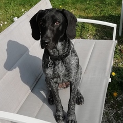 Puppy Survival Thread - April