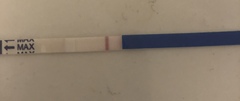 Line eyes - is this negative