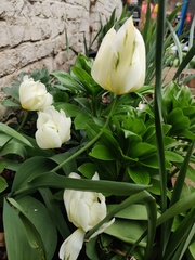 Show Us Your Pictures 4