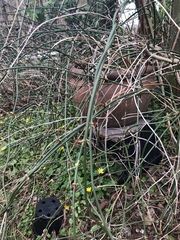 Anyone know what this is please?
