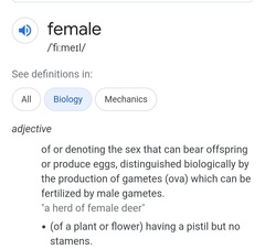 Pregnant people?