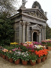 Week 3 - Leaving Lockdown Bootcamp