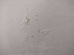 Paint peeling and bubbling on ground floor - how to treat damp?