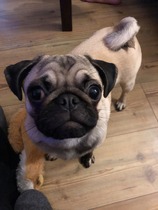 Cancer Support Thread #79 Newbies Welcome
