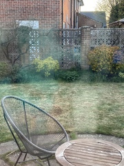 Plant/weed help!