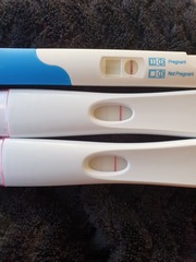 Pregnant or not?