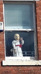 To ask my neighbour to remove the male blow up doll from her lounge window?