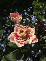 Week 2 - Leaving Lockdown Low Carb Bootcamp