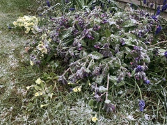 Fledglings are Flying into April, there's no fooling us.......