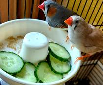 Week 3 - Leaving Lockdown Bootcamp