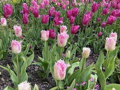 Week 3 - Leaving Lockdown Bootcamp