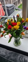 Aren't these stunning?