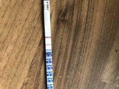 TTC after miscarriage