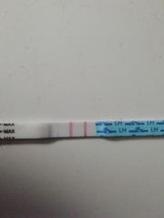 Would you call this a positive? OPK.