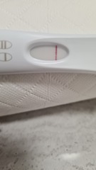 3DPO anyone want to TWW with me?