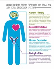 The Situation for Trans Men in Japan