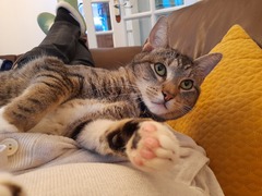 Knit, Crochet and Natter 4 - Yarning into Spring