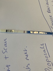 One step pregnancy tests