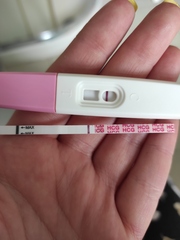 One step pregnancy tests