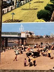 What to do with postcard collection?