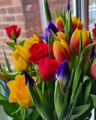 Aren't these stunning?