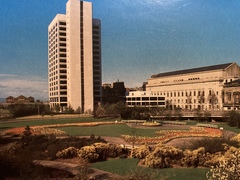 What to do with postcard collection?