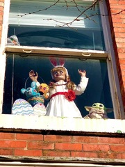 To ask my neighbour to remove the male blow up doll from her lounge window?