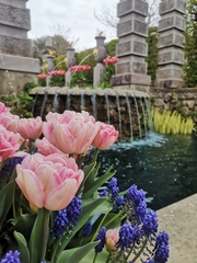 Week 3 - Leaving Lockdown Bootcamp