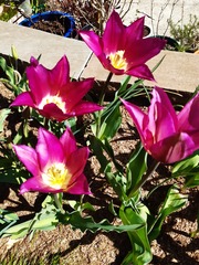 Week 2 - Leaving Lockdown Low Carb Bootcamp