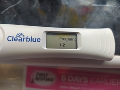 Due December 2021! Thread 2