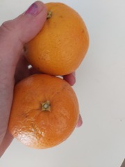 Posting pics of everything you eat thread!