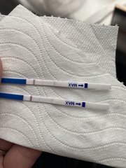 So, er, is this a line?