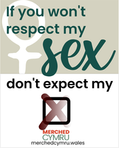 #SexInTheSenedd (Election special!)